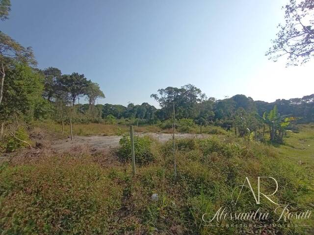 #156 - Terreno para Venda em Balneário Barra do Sul - SC - 2