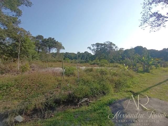 #156 - Terreno para Venda em Balneário Barra do Sul - SC - 1