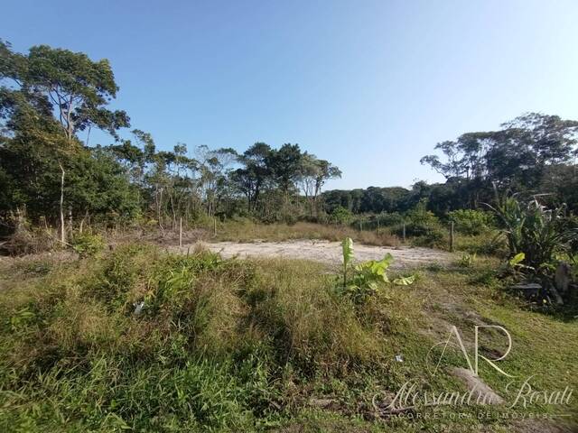 #156 - Terreno para Venda em Balneário Barra do Sul - SC - 3