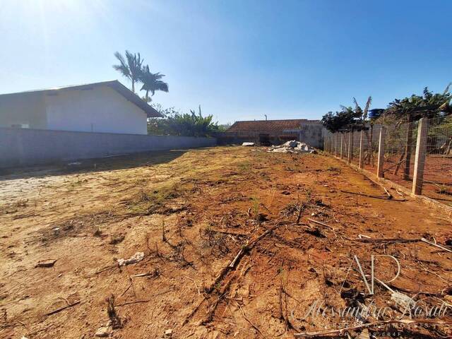 #233 - Área para Venda em Balneário Barra do Sul - SC - 1