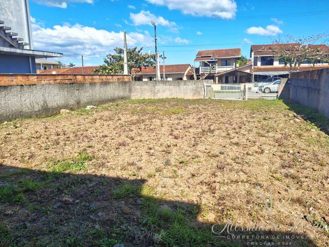 #235 - Área para Venda em Balneário Barra do Sul - SC - 2