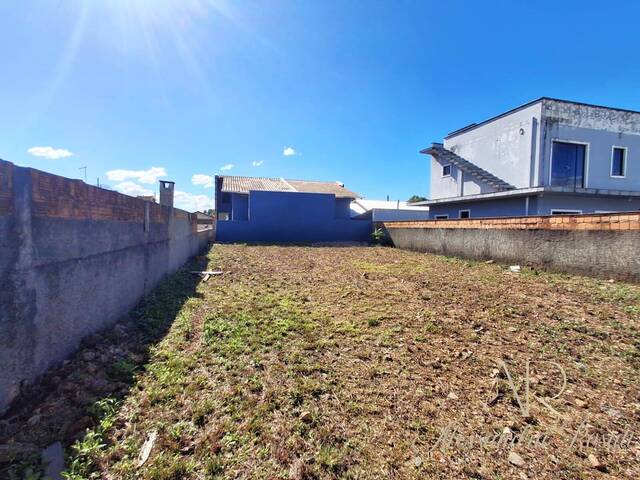 #235 - Área para Venda em Balneário Barra do Sul - SC - 3