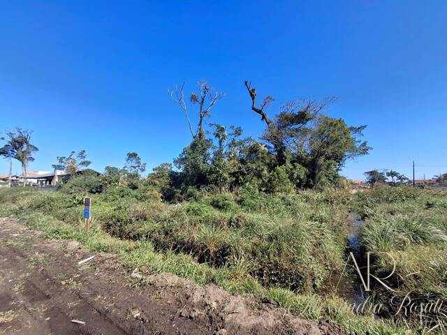 #240 - Área para Venda em Balneário Barra do Sul - SC - 3