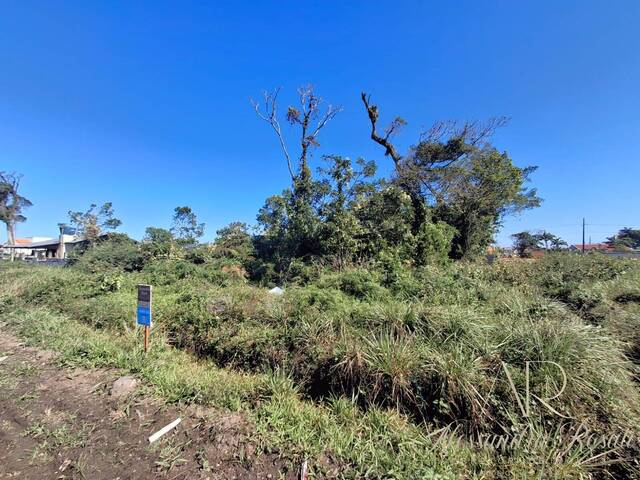 #240 - Área para Venda em Balneário Barra do Sul - SC - 2