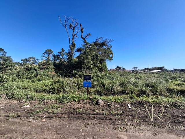 #240 - Área para Venda em Balneário Barra do Sul - SC - 1