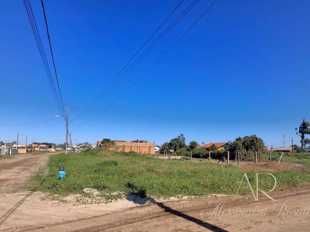 #241 - Área para Venda em Balneário Barra do Sul - SC - 1