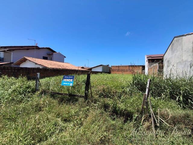 #249 - Área para Venda em Balneário Barra do Sul - SC - 1