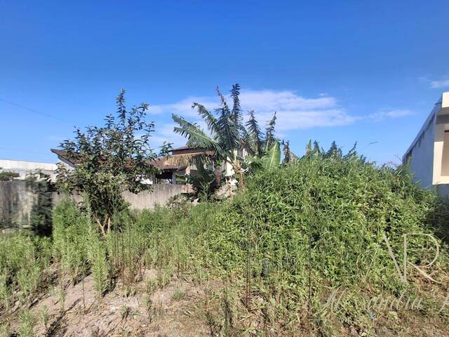 #254 - Área para Venda em Balneário Barra do Sul - SC - 1