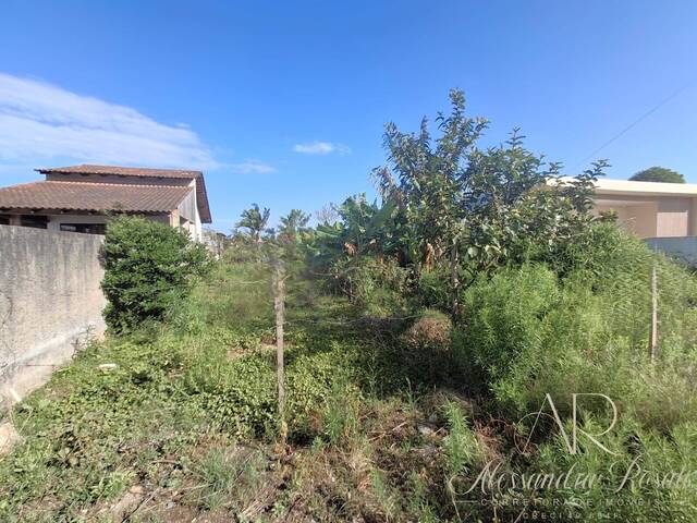 #254 - Área para Venda em Balneário Barra do Sul - SC - 3