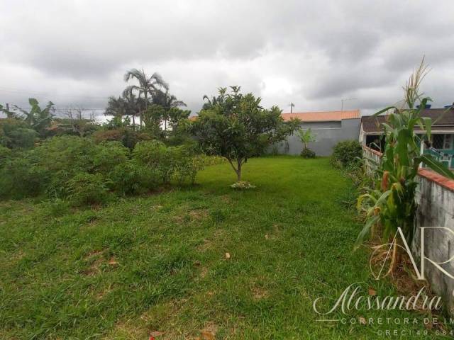 #260 - Área para Venda em Balneário Barra do Sul - SC - 2