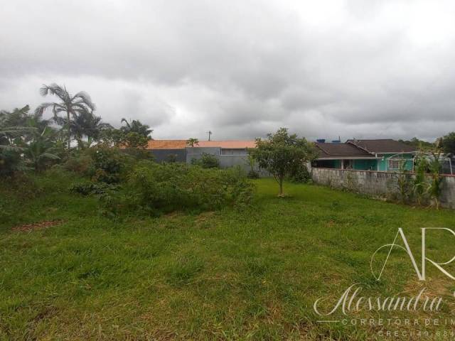 #260 - Área para Venda em Balneário Barra do Sul - SC - 3