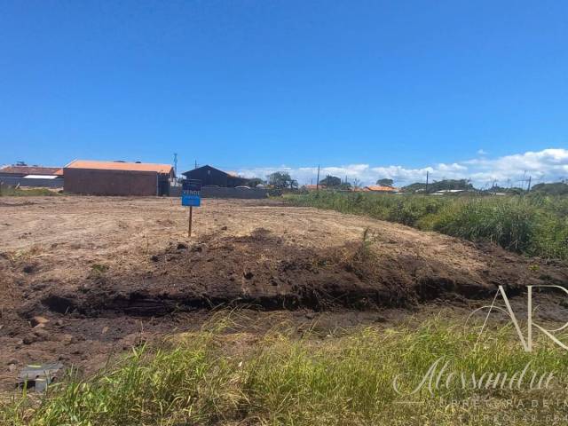 #240 - Área para Venda em Balneário Barra do Sul - SC - 1