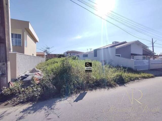 #0038 - Terreno para Venda em Balneário Barra do Sul - SC - 3